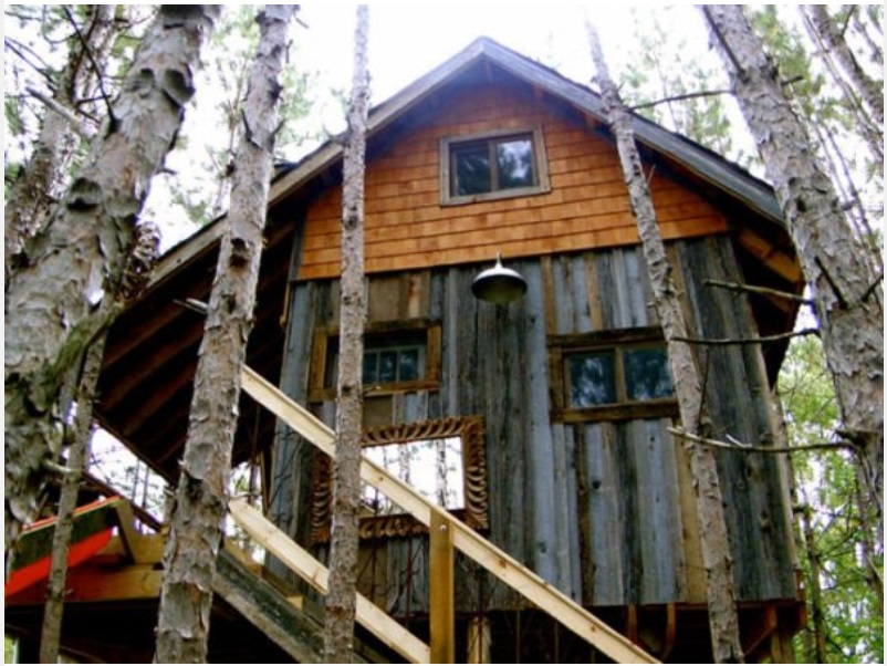 Tree house made from reclaimed materials in Canada