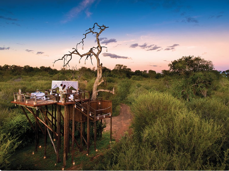 Chalkley Treehouse, Lion Sands Game Reserve