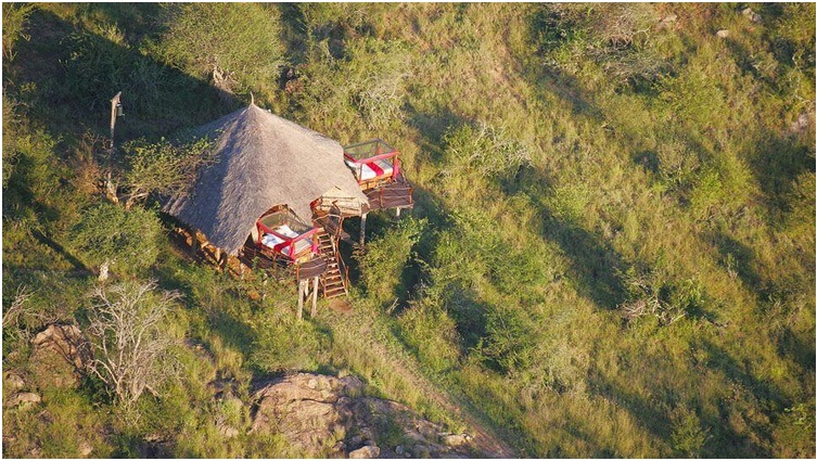 Reconnect with Nature and Get Closer to Wildlife at Kenya’s Loisaba Retreat_2